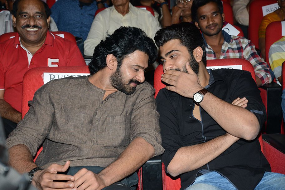 Express-Raja-Audio-Launch